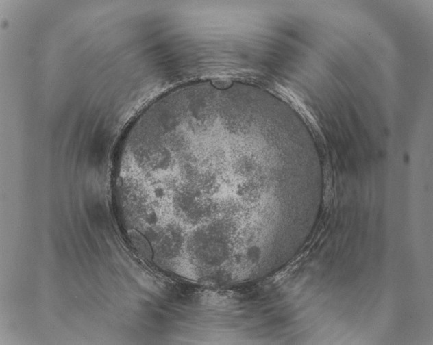 X0000089970346200707131428