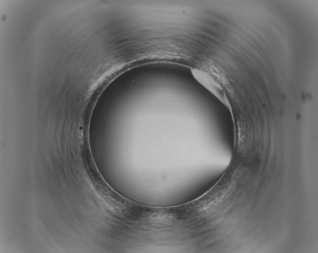 X0000089970348200707131428