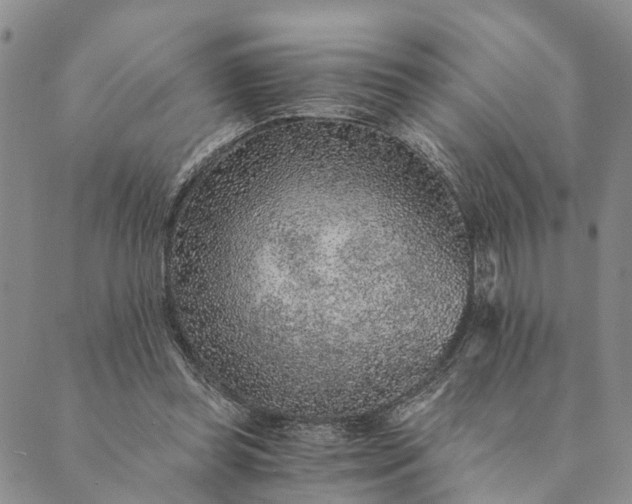 X0000089970349200707131428