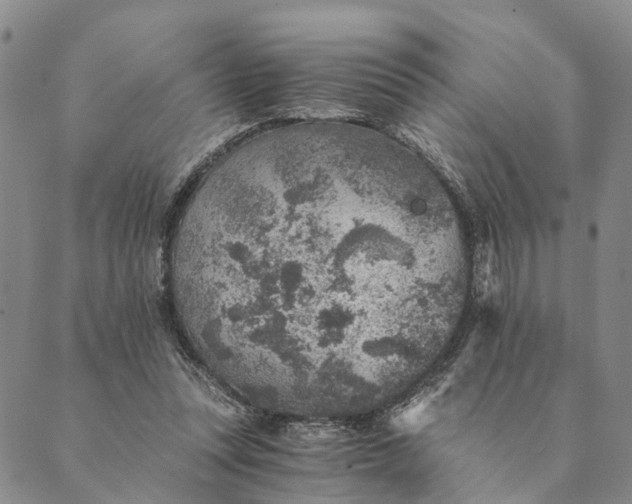 X0000089970351200707131428