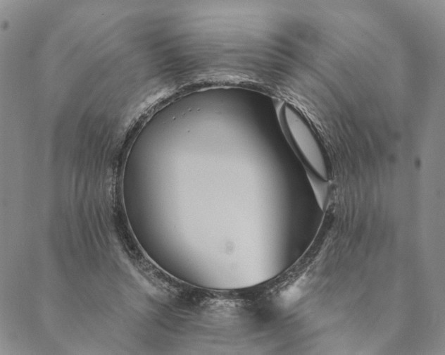 X0000089970352200707131428