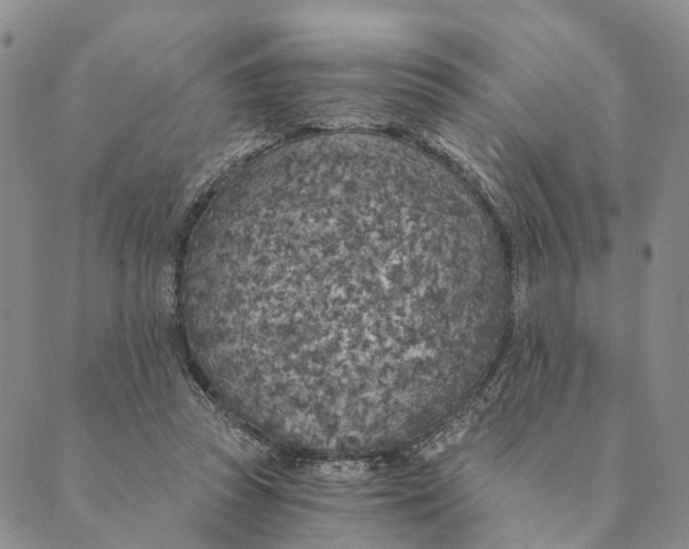 X0000089970353200707131428