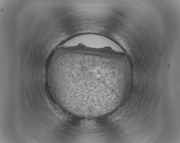 X0000089970354200707131428