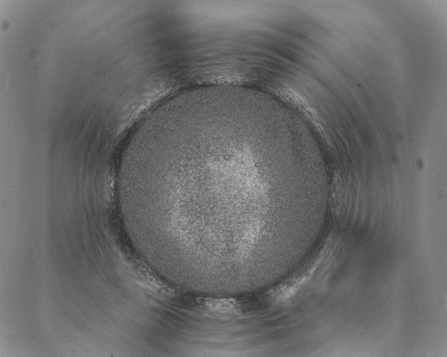 X0000089970355200707131428