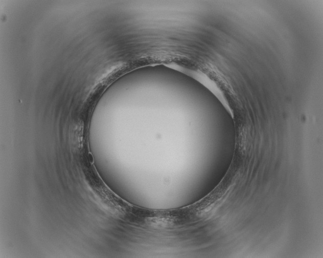 X0000089970356200707131428