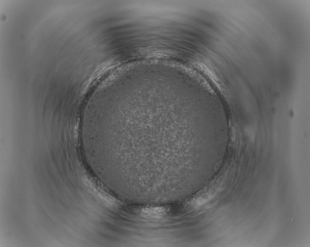 X0000089970357200707131428