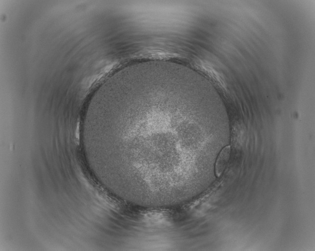 X0000089970358200707131428