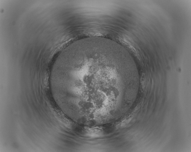 X0000089970359200707131428