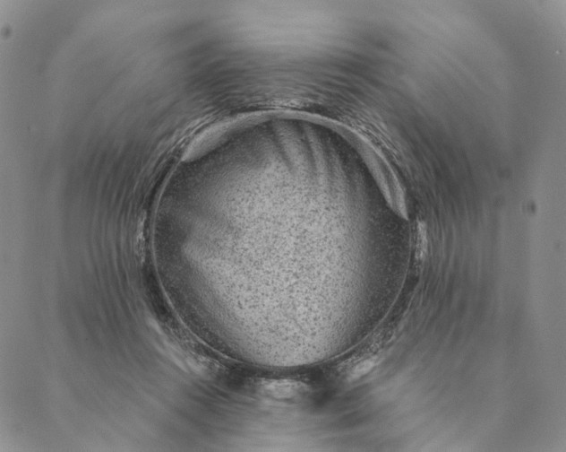 X0000089970360200707131428