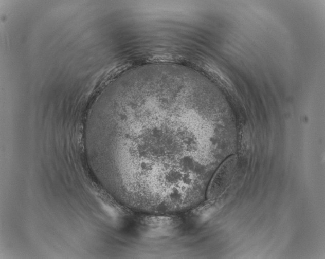 X0000089970361200707131428