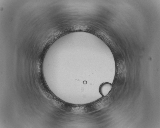 X0000089970362200707131428