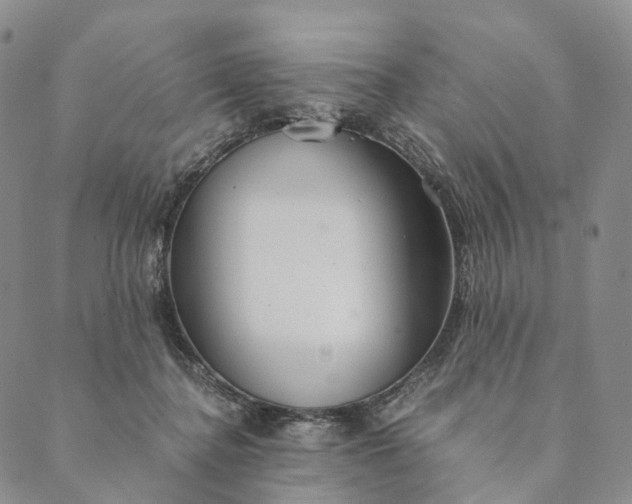 X0000089970364200707131428