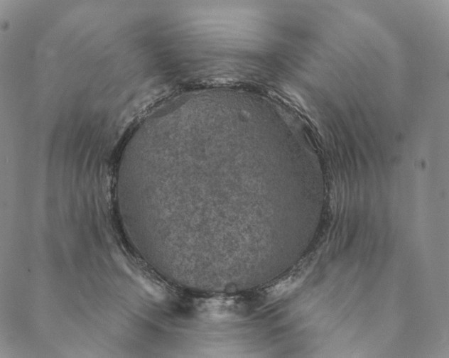 X0000089970366200707131429