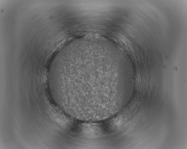 X0000089970367200707131429