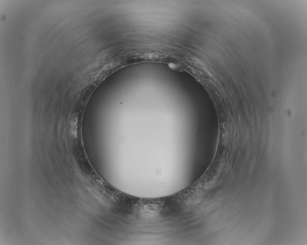 X0000089970368200707131429