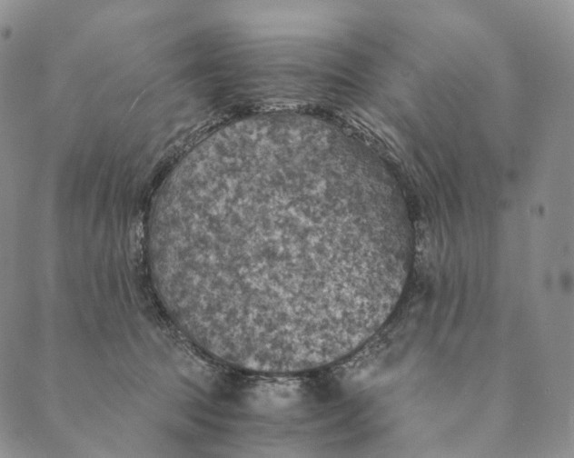 X0000089970369200707131429