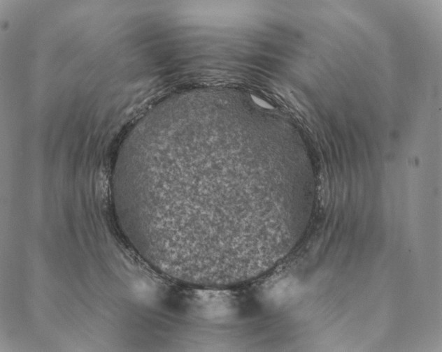 X0000089970371200707131429