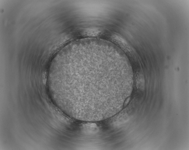 X0000089970374200707131429