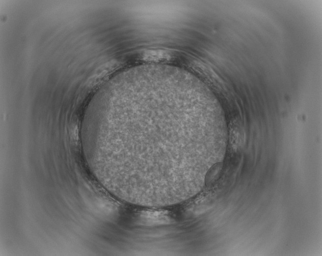 X0000089970375200707131429