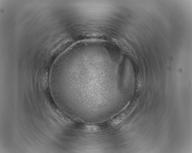 X0000089970376200707131429