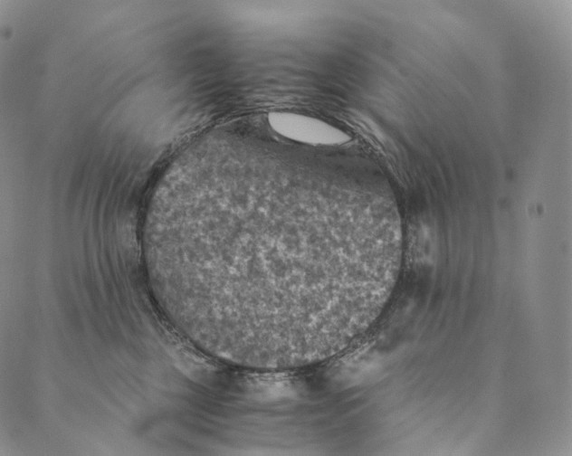 X0000089970377200707131429