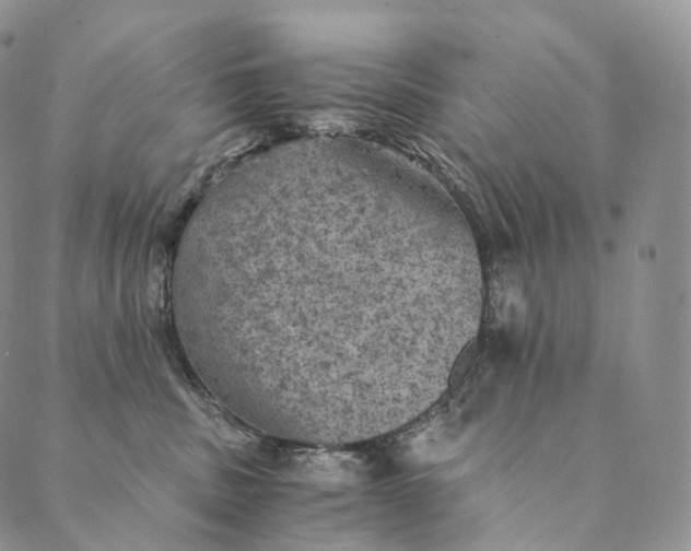 X0000089970379200707131429