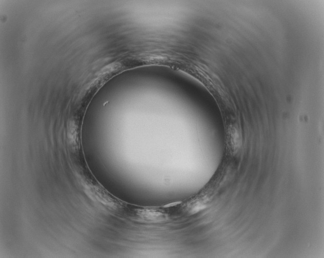 X0000089970380200707131429