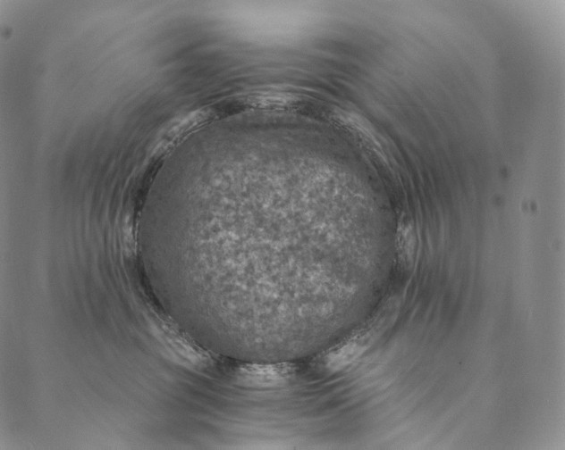 X0000089970381200707131429