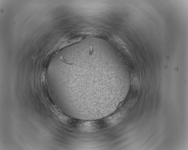 X0000089970382200707131429