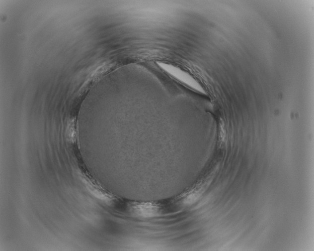 X0000089970383200707131429