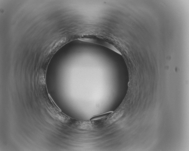 X0000089970384200707131429