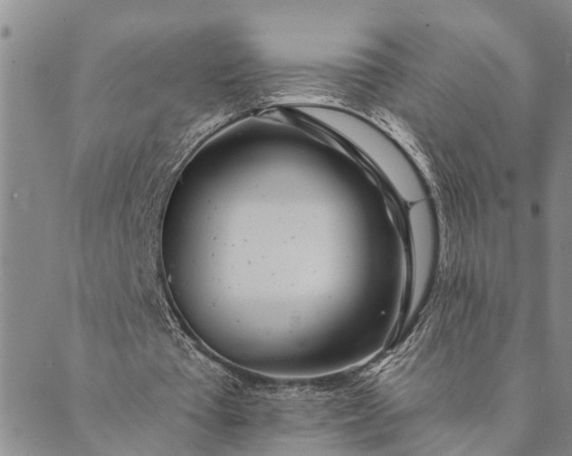 X0000089970385200707131428