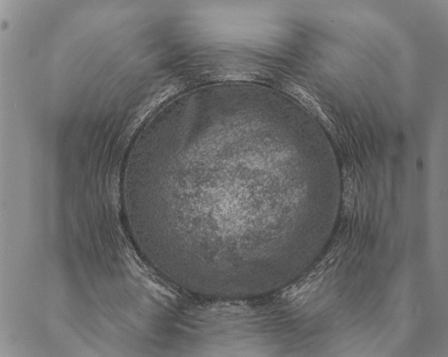 X0000089970386200707131428