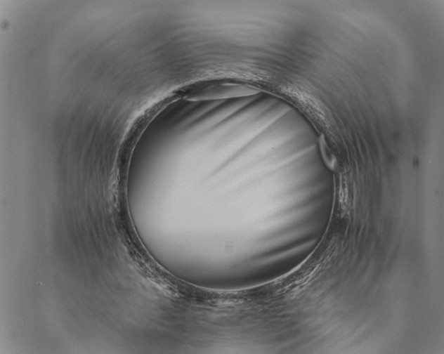 X0000089970388200707131428