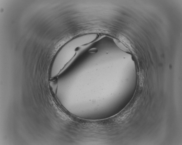 X0000089970389200707131428