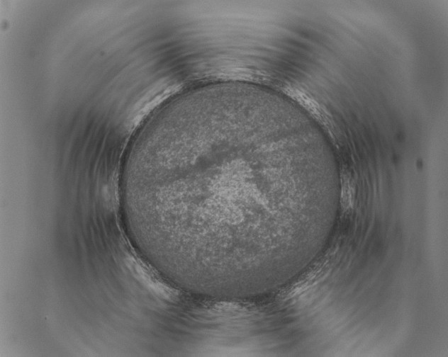 X0000089970390200707131428