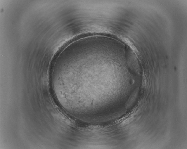 X0000089970391200707131428