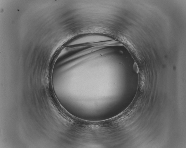 X0000089970392200707131428