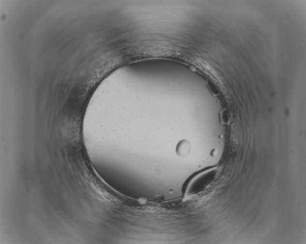 X0000089970393200707131428