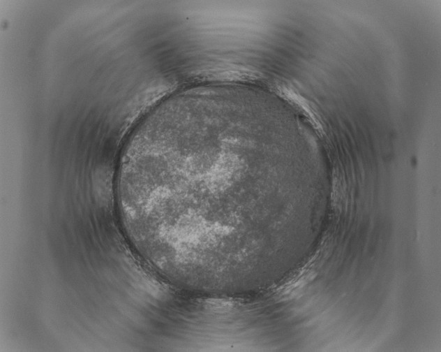 X0000089970394200707131428