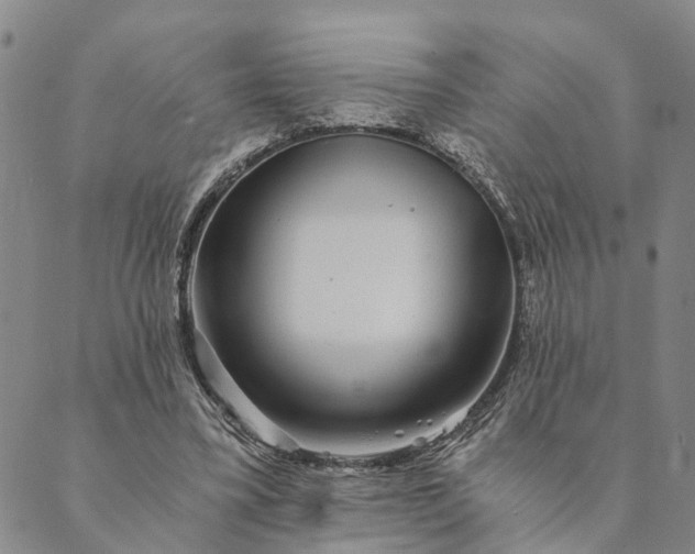 X0000089970395200707131428