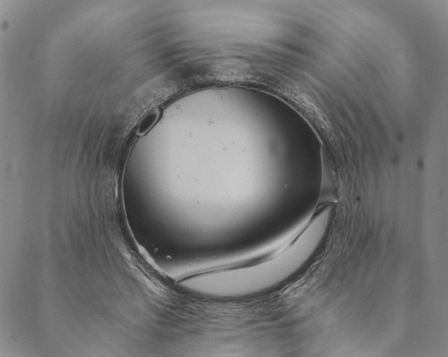 X0000089970397200707131428