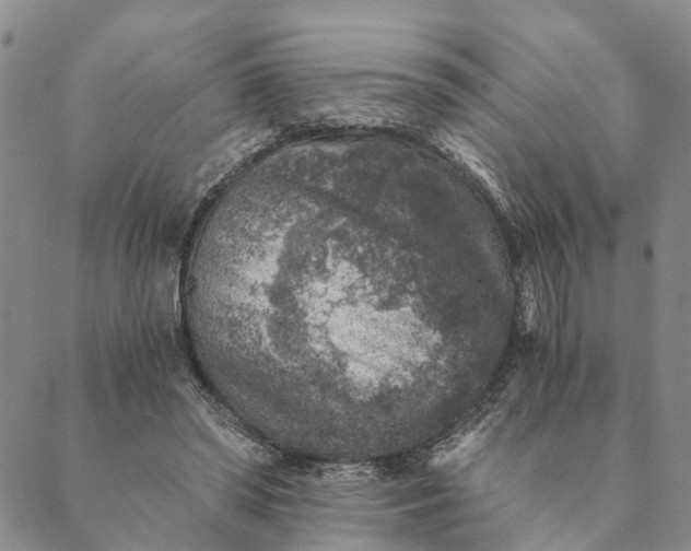 X0000089970398200707131428