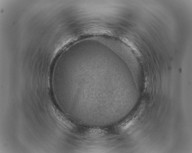 X0000089970399200707131428