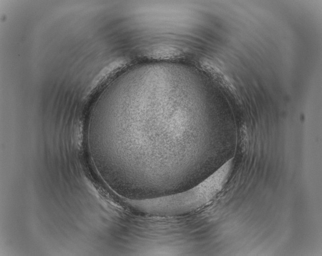 X0000089970400200707131428