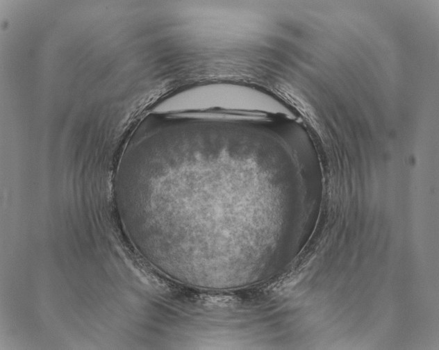 X0000089970401200707131428