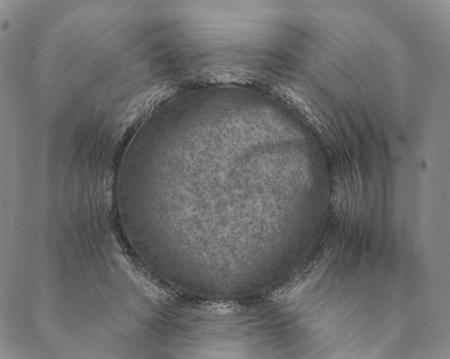 X0000089970402200707131428