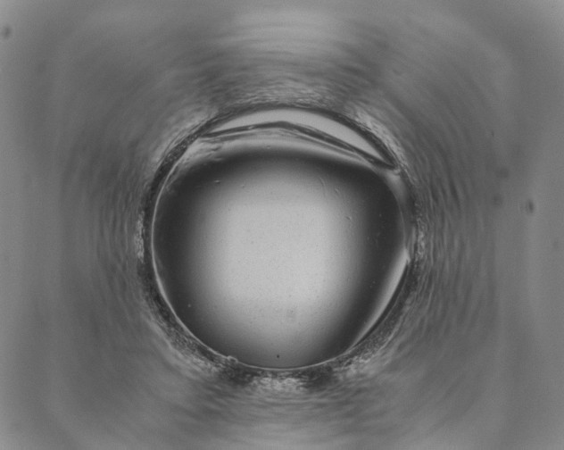 X0000089970403200707131428