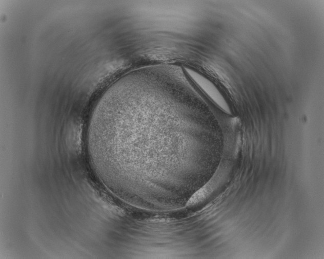 X0000089970404200707131428