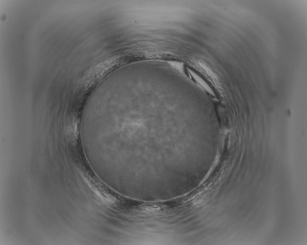 X0000089970405200707131428